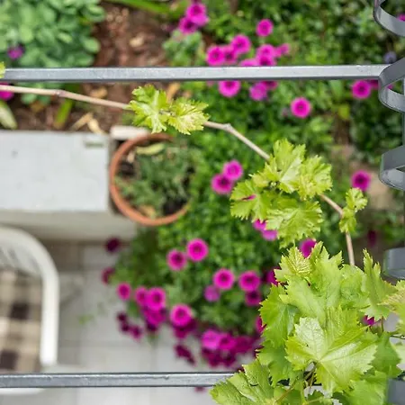 Rogulj Appartamento *