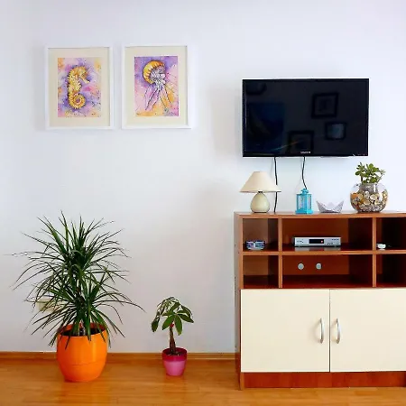 Rogulj * تروغير