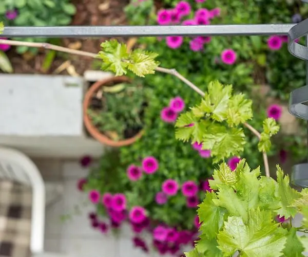 Rogulj Appartement *