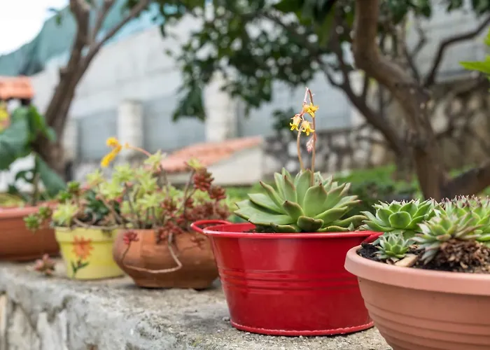 Rogulj Lejlighed Trogir