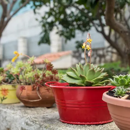 Rogulj Appartement Trogir